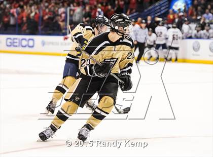 Thumbnail 1 in Fox vs Howell North (Wickenheiser Cup Final) photogallery.