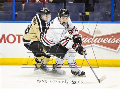 Thumbnail 1 in Fox vs Howell North (Wickenheiser Cup Final) photogallery.