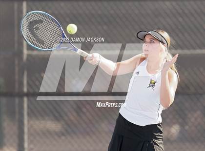 Thumbnail 3 in Virgin Valley @ Moapa photogallery.