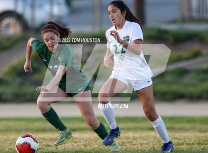 Thumbnail 3 in Monrovia @ Temple City photogallery.