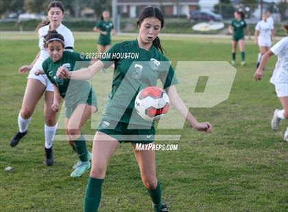 Thumbnail 2 in Monrovia @ Temple City photogallery.