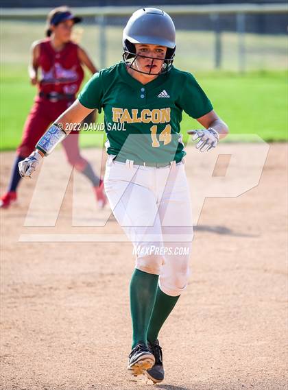 Thumbnail 2 in  Falcon @ Sand Creek photogallery.