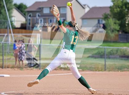 Thumbnail 1 in  Falcon @ Sand Creek photogallery.