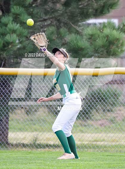 Thumbnail 3 in  Falcon @ Sand Creek photogallery.