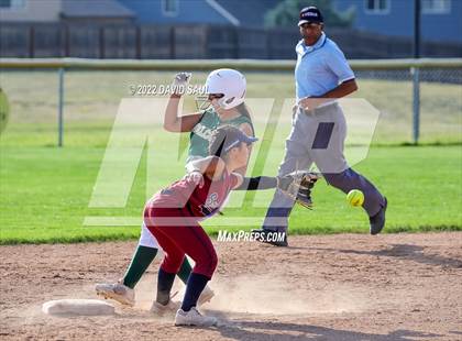 Thumbnail 3 in  Falcon @ Sand Creek photogallery.