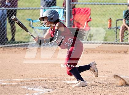 Thumbnail 1 in  Falcon @ Sand Creek photogallery.