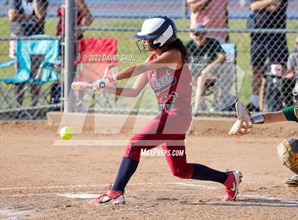 Thumbnail 1 in  Falcon @ Sand Creek photogallery.