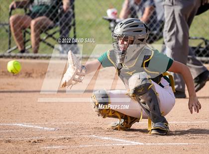 Thumbnail 1 in  Falcon @ Sand Creek photogallery.