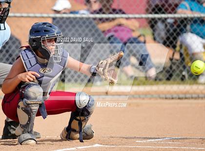 Thumbnail 1 in  Falcon @ Sand Creek photogallery.