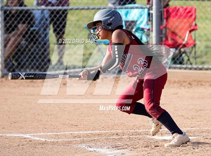 Thumbnail 2 in  Falcon @ Sand Creek photogallery.