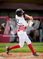 Photo from the gallery "Telos @ Altamont"