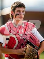 Photo from the gallery "Telos @ Altamont"