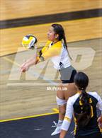 Photo from the gallery "Highland @ Cottonwood"