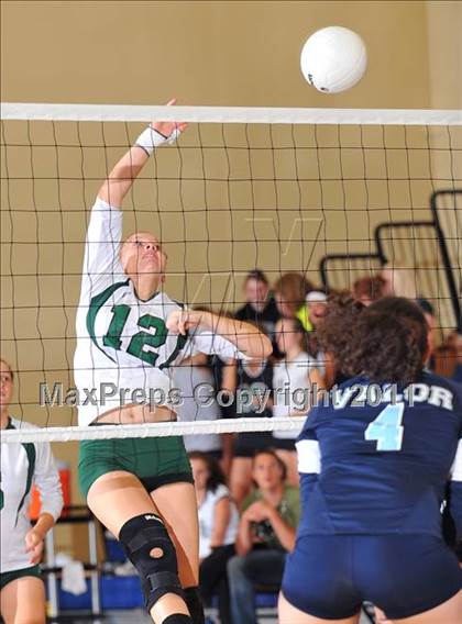 Thumbnail 1 in Conifer @ Valor Christian photogallery.