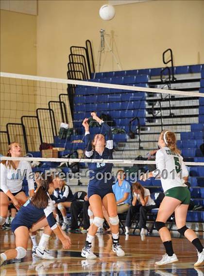 Thumbnail 3 in Conifer @ Valor Christian photogallery.
