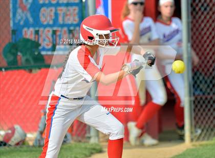 Thumbnail 1 in Delsea @ Triton photogallery.