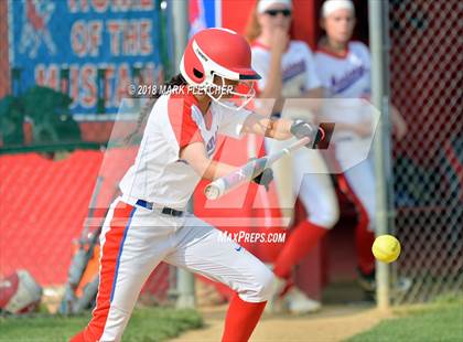 Thumbnail 2 in Delsea @ Triton photogallery.