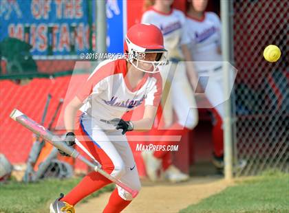 Thumbnail 2 in Delsea @ Triton photogallery.