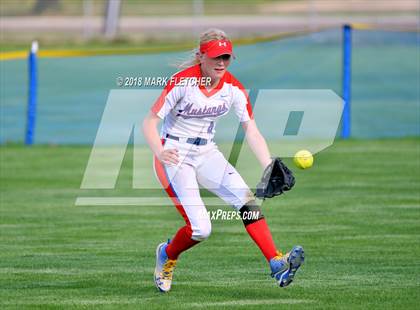 Thumbnail 1 in Delsea @ Triton photogallery.
