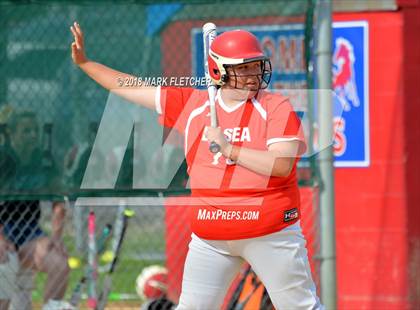 Thumbnail 2 in Delsea @ Triton photogallery.