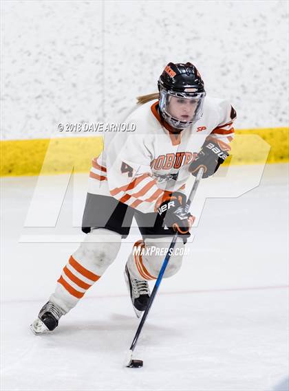 Thumbnail 1 in Braintree vs. Woburn Memorial (MIAA Division 1 Quarterfinal) photogallery.