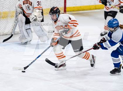 Thumbnail 1 in Braintree vs. Woburn Memorial (MIAA Division 1 Quarterfinal) photogallery.