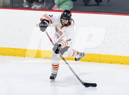 Thumbnail 3 in Braintree vs. Woburn Memorial (MIAA Division 1 Quarterfinal) photogallery.