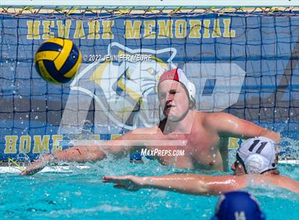 Thumbnail 2 in Livermore vs. Newark Memorial photogallery.