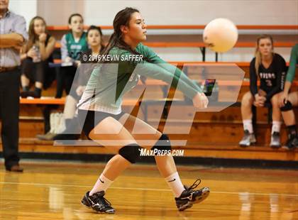 Thumbnail 3 in Byers @ Flagler photogallery.