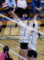 Photo from the gallery "Douglas @ Carson"