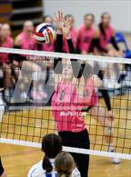 Photo from the gallery "Douglas @ Carson"