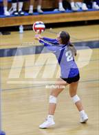 Photo from the gallery "Douglas @ Carson"