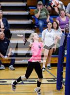 Photo from the gallery "Douglas @ Carson"