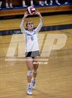 Photo from the gallery "Douglas @ Carson"