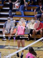 Photo from the gallery "Douglas @ Carson"