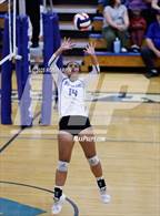 Photo from the gallery "Douglas @ Carson"