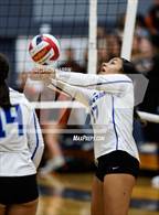 Photo from the gallery "Douglas @ Carson"