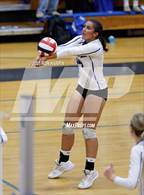 Photo from the gallery "Douglas @ Carson"
