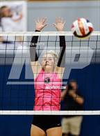 Photo from the gallery "Douglas @ Carson"