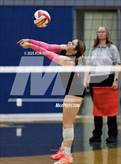 Photo from the gallery "Douglas @ Carson"