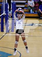 Photo from the gallery "Douglas @ Carson"