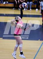 Photo from the gallery "Douglas @ Carson"