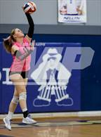 Photo from the gallery "Douglas @ Carson"