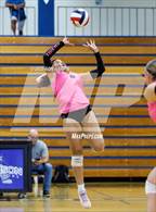Photo from the gallery "Douglas @ Carson"