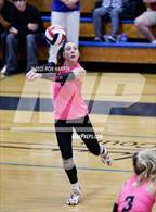 Photo from the gallery "Douglas @ Carson"