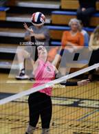 Photo from the gallery "Douglas @ Carson"