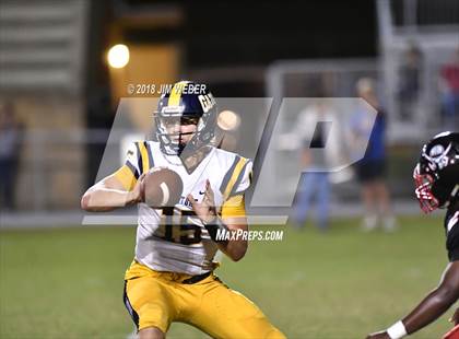 Thumbnail 3 in Land O' Lakes @ Pasco photogallery.