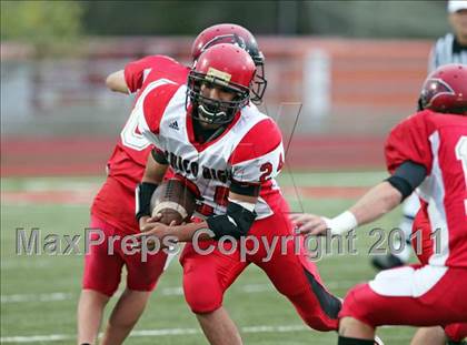 Thumbnail 3 in Chico @ Foothill photogallery.