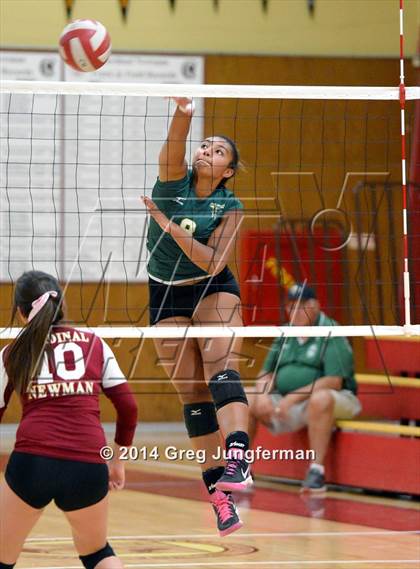 Thumbnail 1 in Casa Grande @ Cardinal Newman photogallery.