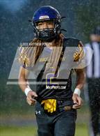 Photo from the gallery "Pine Forest @ Jack Britt"